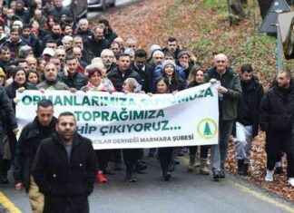 Belgrad Ormanı Koruma Çabaları ve Garanti Sorunu belgrad-orman-koruma-abalar-ve-garanti-sorunu