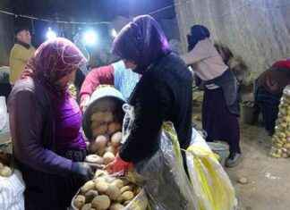 Kayseri’de Kayadan Oyma Mağara: Patates Deposu Kullanımı kayseride-kayadan-oyma-maara-patates-deposu-kullanm