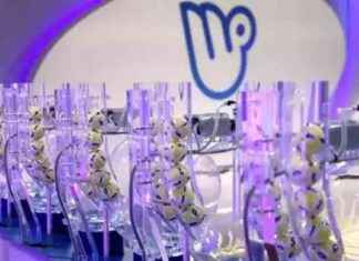 Milli Piyango’dan Kazanılan Para Nasıl Alınır ve Nereden Çekilir? Ödeme Adresleri ve Süreci Detayları milli-piyangodan-kazanlan-para-nasl-alnr-ve-nereden-ekilir-deme-adresleri-ve-sreci-detaylar