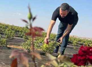 1 Litresi 42 Bin Euroya Satılan 6 Ton Yağ Üretimi 1-litresi-42-bin-euroya-satlan-6-ton-ya-retimi