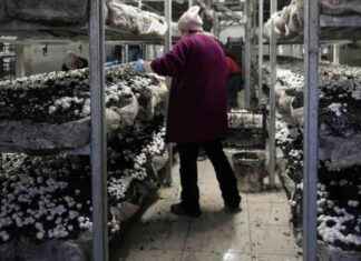 4 odada üretim yaparak kentin ihtiyacını karşılayan firma! 44 günde teslimat garantisi! 4-odada-retim-yaparak-kentin-ihtiyacn-karlayan-firma-44-gnde-teslimat-garantisi