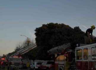 ABD’de Küçük Uçağın Mobilya Fabrikasının Çatısına Düşmesi: 2 Kişi Öldü | Dış Haberler abdde-kk-uan-mobilya-fabrikasnn-atsna-dmesi-2-kii-ld-d-haberler