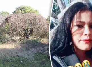 Adana Kadın Cinayeti: Ormanda Ölü Bulunan İki Çocuk Annesi adana-kadn-cinayeti-ormanda-l-bulunan-iki-ocuk-annesi