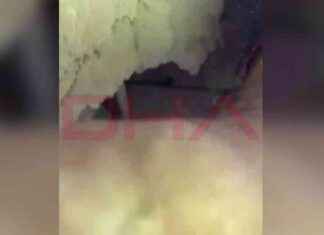 AFAD Görevlisine Hoş Geldin Abi Dediği An – Güncel Haberler afad-grevlisine-ho-geldin-abi-dedii-an-gncel-haberler