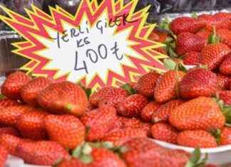 Antalya’da Çileğin Fiyatı: Tanesi 15 Lira! antalyada-ilein-fiyat-tanesi-15-lira