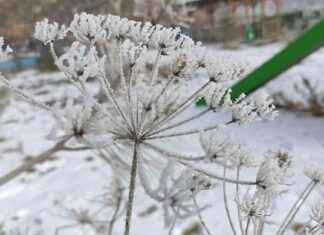 Ardahan’da Sibirya Soğuklarıyla İlgili Son Dakika Haberleri – Ardahan Haberleri ardahanda-sibirya-souklaryla-ilgili-son-dakika-haberleri-ardahan-haberleri