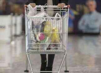 BİM 21-22 Ocak 2025 Aktüel Ürünler Kataloğu: İndirimli Ürünler Neler? bim-21-22-ocak-2025-aktel-rnler-katalou-indirimli-rnler-neler