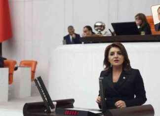 CHP’li Gülcan Kış: Yurttaşın Geçim Savaşı 2024 Yılında Ele Alındı. chpli-glcan-k-yurttan-geim-sava-2024-ylnda-ele-alnd