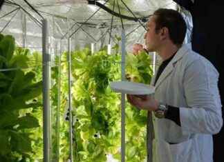 Iğdır’da Yapay Işıkla Topraksız Tarım Yeni Dönem! drda-yapay-kla-topraksz-tarm-yeni-dnem