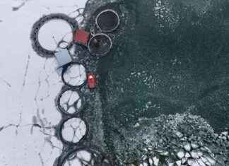 Erzincan Balıkçılarının Buzlu Gölden Antarktika’ya Gönderen Mücadelesi! erzincan-balklarnn-buzlu-glden-antarktikaya-gnderen-mcadelesi