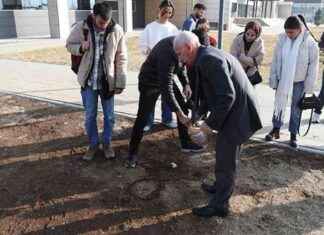 Erzincan Geleneksel Oyunları Kitabı: Akademisyenin 20 Yıllık Çalışması erzincan-geleneksel-oyunlar-kitab-akademisyenin-20-yllk-almas
