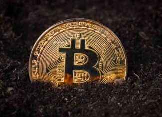 KRİPTO PARA YATIRIMI: Fenomen Tavsiyelerine Dikkat! – Ekonomi Haberleri kripto-para-yatrm-fenomen-tavsiyelerine-dikkat-ekonomi-haberleri