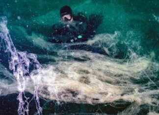 Marmara Denizi’ndeki Müsilaj Sorunu ve Uzmanlar tarafından Uyarılar marmara-denizindeki-msilaj-sorunu-ve-uzmanlar-tarafndan-uyarlar