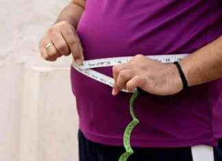 Patates Böcekleri: Obezitenin Çaresi mi? – Sağlık Haberleri patates-bcekleri-obezitenin-aresi-mi-salk-haberleri