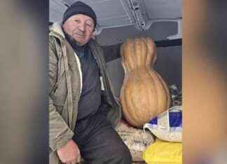 Sinop’ta 55 Kilogramlık Dev Bal Kabağı Nasıl Yetiştirilir? sinopta-55-kilogramlk-dev-bal-kaba-nasl-yetitirilir