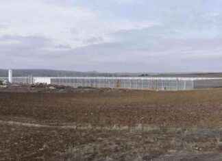 Sivas’taki Düşük Enerjili Büyük Cam Sera: Örnek Proje sivastaki-dk-enerjili-byk-cam-sera-rnek-proje