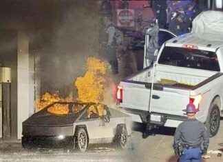 Terör Saldırılarının Altında Yatan Mesaj ve 2025 Dünya Tahminleri terr-saldrlarnn-altnda-yatan-mesaj-ve-2025-dnya-tahminleri