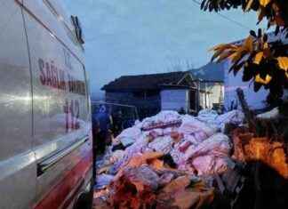 Ahırda Vurulmuş Halde Ölü Bulunan Adamın İncelenmesi ahrda-vurulmu-halde-l-bulunan-adamn-incelenmesi