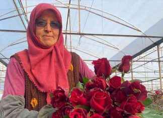 Antalya Gül Üreticileri Sevgililer Günü Hazırlıklarından Memnun antalya-gl-reticileri-sevgililer-gn-hazrlklarndan-memnun