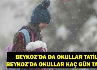 Beykoz Kar Tatili: Okullar Tatil Mi? Beykoz Kaymakamlığı Açıkladı. beykoz-kar-tatili-okullar-tatil-mi-beykoz-kaymakaml-aklad