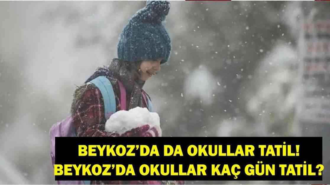 Beykoz Kar Tatili: Okullar Tatil Mi? Beykoz Kaymakamlığı Açıkladı. beykoz-kar-tatili-okullar-tatil-mi-beykoz-kaymakaml-aklad