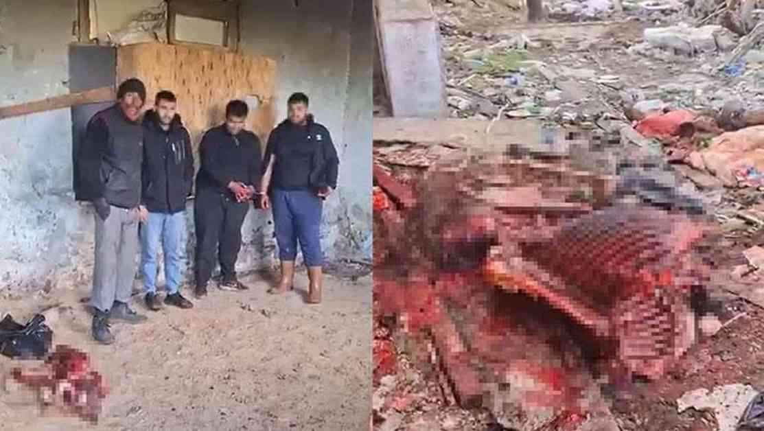 İzmir'de At Kesimi Olayı Hakkında Detaylar ve İnceleme izmirde-at-kesimi-olay-hakknda-detaylar-ve-inceleme