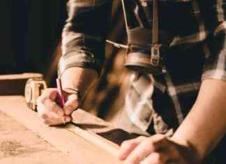 Şubat Ayında Reel Kesim Güveni Yükseldi – Haber ubat-aynda-reel-kesim-gveni-ykseldi-haber