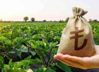 Tarım işçilerinin günlük ücreti 2024’te artacak tarm-iilerinin-gnlk-creti-2024te-artacak