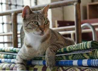 Işık Yılı Kaç Km Arabayla, Otobüsle, Uçakla Yol Süresi Ve Güzergah Seçenekleri Işık Yılı Kaç Km Arabayla, Otobüsle, Uçakla Yol Süresi Ve Güzergah Seçenekleri