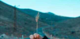 Aksaray Adana Arası Kaç Km Arabayla, Otobüsle, Uçakla Yol Süresi Ve Güzergah Seçenekleri Aksaray Adana Arası Kaç Km Arabayla, Otobüsle, Uçakla Yol Süresi Ve Güzergah Seçenekleri