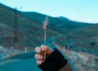 Aksaray Kayseri Arası Kaç Km Arabayla, Otobüsle, Uçakla Yol Süresi Ve Güzergah Seçenekleri Aksaray Kayseri Arası Kaç Km Arabayla, Otobüsle, Uçakla Yol Süresi Ve Güzergah Seçenekleri