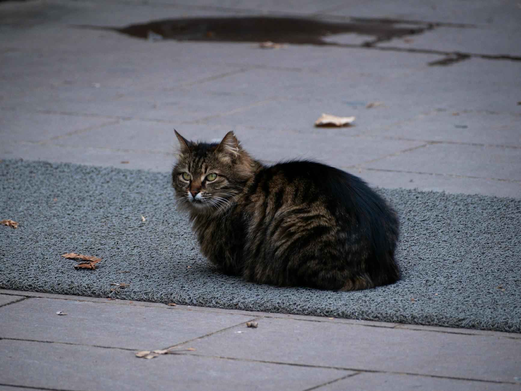 Mesafe ve Seyahat Süresi