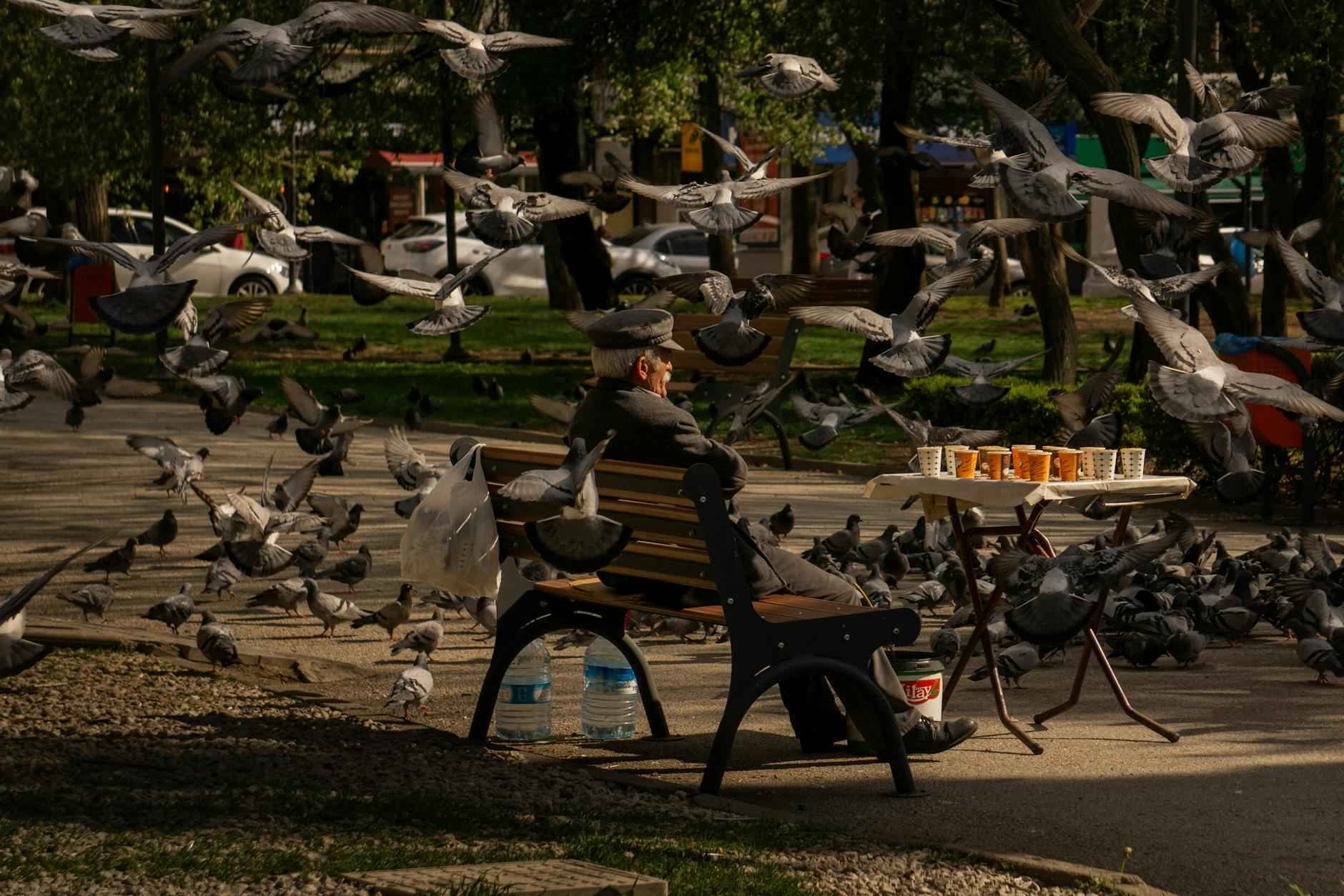 Hava Yoluyla Seyahat