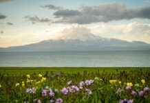 Bitlis Diyarbakır Arası Kaç Km Arabayla, Otobüsle, Uçakla Yol Süresi Ve Güzergah Seçenekleri Bitlis Diyarbakır Arası Kaç Km Arabayla, Otobüsle, Uçakla Yol Süresi Ve Güzergah Seçenekleri