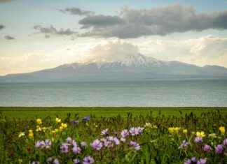 Bitlis Diyarbakır Arası Kaç Km Arabayla, Otobüsle, Uçakla Yol Süresi Ve Güzergah Seçenekleri Bitlis Diyarbakır Arası Kaç Km Arabayla, Otobüsle, Uçakla Yol Süresi Ve Güzergah Seçenekleri