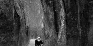 Bursa Sakarya Arası Kaç Km Arabayla, Otobüsle, Uçakla Yol Süresi Ve Güzergah Seçenekleri Bursa Sakarya Arası Kaç Km Arabayla, Otobüsle, Uçakla Yol Süresi Ve Güzergah Seçenekleri