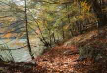 Cidde Mekke Arası Kaç Km Arabayla, Otobüsle, Uçakla Yol Süresi Ve Güzergah Seçenekleri Cidde Mekke Arası Kaç Km Arabayla, Otobüsle, Uçakla Yol Süresi Ve Güzergah Seçenekleri