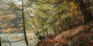 Cidde Mekke Arası Kaç Km Arabayla, Otobüsle, Uçakla Yol Süresi Ve Güzergah Seçenekleri Cidde Mekke Arası Kaç Km Arabayla, Otobüsle, Uçakla Yol Süresi Ve Güzergah Seçenekleri