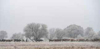 Erzurum Kars Arası Kaç Km Arabayla, Otobüsle, Uçakla Yol Süresi Ve Güzergah Seçenekleri Erzurum Kars Arası Kaç Km Arabayla, Otobüsle, Uçakla Yol Süresi Ve Güzergah Seçenekleri