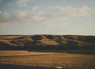 Eskişehir Ankara Arası Kaç Km Arabayla, Otobüsle, Uçakla Yol Süresi Ve Güzergah Seçenekleri Eskişehir Ankara Arası Kaç Km Arabayla, Otobüsle, Uçakla Yol Süresi Ve Güzergah Seçenekleri