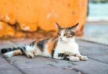 Gaziantep Kayseri Arası Kaç Km Arabayla, Otobüsle, Uçakla Yol Süresi Ve Güzergah Seçenekleri Gaziantep Kayseri Arası Kaç Km Arabayla, Otobüsle, Uçakla Yol Süresi Ve Güzergah Seçenekleri