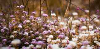 Gaziantep Sivas Arası Kaç Km Arabayla, Otobüsle, Uçakla Yol Süresi Ve Güzergah Seçenekleri Gaziantep Sivas Arası Kaç Km Arabayla, Otobüsle, Uçakla Yol Süresi Ve Güzergah Seçenekleri