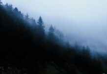 Giresun Sivas Arası Kaç Km Arabayla, Otobüsle, Uçakla Yol Süresi Ve Güzergah Seçenekleri Giresun Sivas Arası Kaç Km Arabayla, Otobüsle, Uçakla Yol Süresi Ve Güzergah Seçenekleri