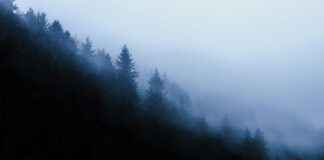 Giresun Sivas Arası Kaç Km Arabayla, Otobüsle, Uçakla Yol Süresi Ve Güzergah Seçenekleri Giresun Sivas Arası Kaç Km Arabayla, Otobüsle, Uçakla Yol Süresi Ve Güzergah Seçenekleri