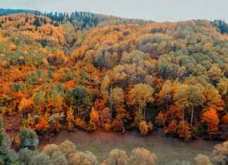 Giresun Trabzon Arası Kaç Km Arabayla, Otobüsle, Uçakla Yol Süresi Ve Güzergah Seçenekleri Giresun Trabzon Arası Kaç Km Arabayla, Otobüsle, Uçakla Yol Süresi Ve Güzergah Seçenekleri