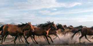 Kayseri Adana Arası Kaç Km Arabayla, Otobüsle, Uçakla Yol Süresi Ve Güzergah Seçenekleri Kayseri Adana Arası Kaç Km Arabayla, Otobüsle, Uçakla Yol Süresi Ve Güzergah Seçenekleri