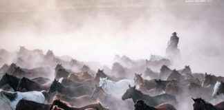 Kayseri Bursa Arası Kaç Km Arabayla, Otobüsle, Uçakla Yol Süresi Ve Güzergah Seçenekleri Kayseri Bursa Arası Kaç Km Arabayla, Otobüsle, Uçakla Yol Süresi Ve Güzergah Seçenekleri