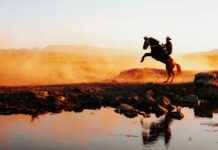 Kayseri İzmir Arası Kaç Km Arabayla, Otobüsle, Uçakla Yol Süresi Ve Güzergah Seçenekleri Kayseri İzmir Arası Kaç Km Arabayla, Otobüsle, Uçakla Yol Süresi Ve Güzergah Seçenekleri