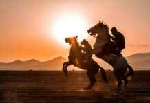 Kayseri Malatya Arası Kaç Km Arabayla, Otobüsle, Uçakla Yol Süresi Ve Güzergah Seçenekleri Kayseri Malatya Arası Kaç Km Arabayla, Otobüsle, Uçakla Yol Süresi Ve Güzergah Seçenekleri