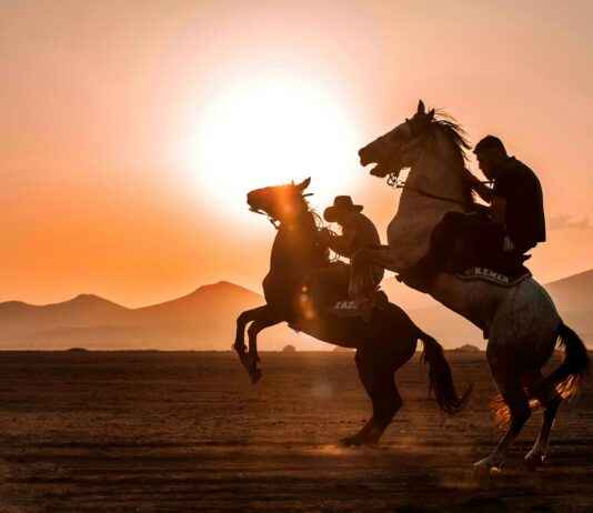 Kayseri Malatya Arası Kaç Km Arabayla, Otobüsle, Uçakla Yol Süresi Ve Güzergah Seçenekleri Kayseri Malatya Arası Kaç Km Arabayla, Otobüsle, Uçakla Yol Süresi Ve Güzergah Seçenekleri